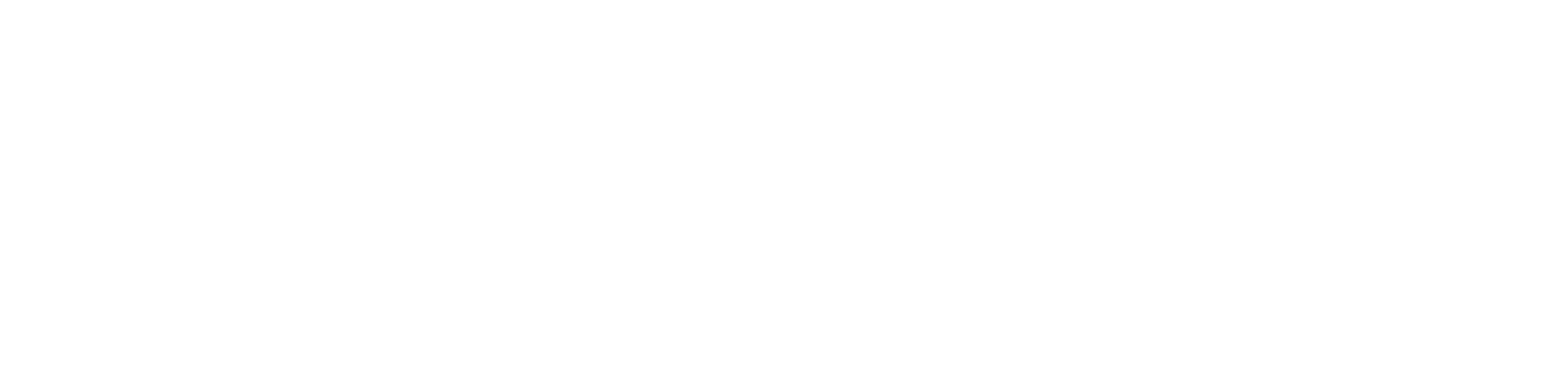AccountMaster white logo